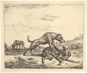 Bojowe psy, z różnych zwierząt, 1657.