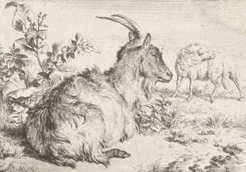 Leżąca koza, 1670