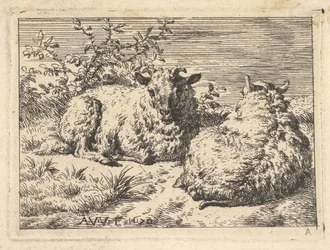 Dwie leżące owce, 1670.