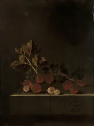 Gałązka agrestu na kamiennym cokole, 1699