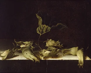 Martwa natura z orzechami laskowymi, 1696 (olej na papierze)