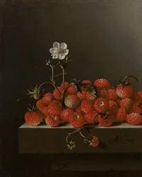 Martwa natura z dzikimi truskawkami, 1705 (olej na papierze na panelu)