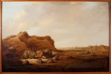 Krajobraz z królikami Obraz Alberta (Aelberta lub Aelbrechta) Cuypa (1620-1691) 1641-1642 wym.44x67 cm Genes, Musei di Strada Nuova (ex Palazzo Rosso)