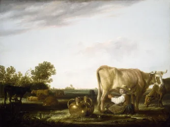 Dojenie krów