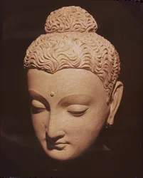 Głowa Buddy, styl grecko-buddyjski, z Hadda (stiuk)