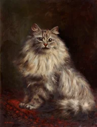 Kot perski, ok. 1908-20