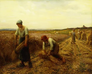 Żniwiarze,