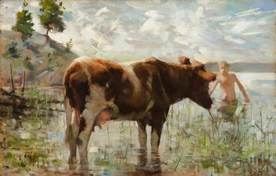 Krowa i chłopiec