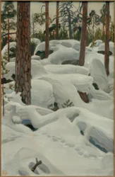 Denu rysia