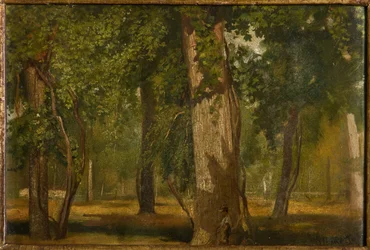 Drewno (olej na płycie)