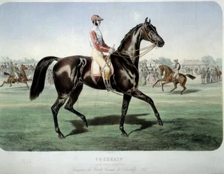 Wyścigi: „” Suzerain, zwycięzca derbów Chantilly w 1868”” Litografia Alberta Adama (1833-?) Kolekcja prywatna