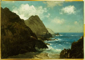 Wyspy Farallon