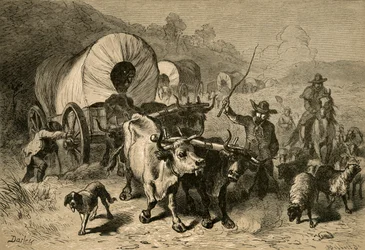 Emigracja do Kraju Zachodniego, 1877.