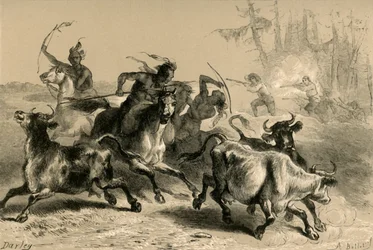 Indianie plądrują plantacje w Karolinie Południowej, 1877.