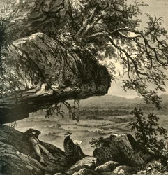 „Wzgórza Maryland”, 1872.