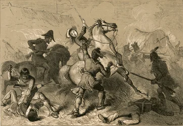 Pani Heald i dzikusy w Chicago, 1878.