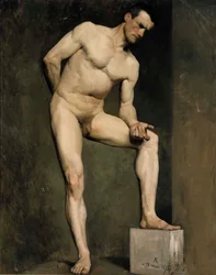 Model męski, studium akademickie