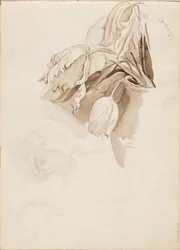 Tulipany