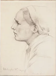 Bez tytułu