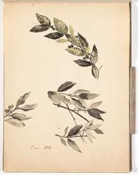 Bez tytułu