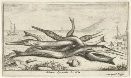 Przypięte na plaży? Admos. Lesguille de Mer. (tytuł na obiekcie) Ryby i inne morskie stworzenia - trzecia seria słonowodnych (tytuł serii) Poissons de mer (tytuł serii)