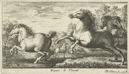 Konie Equus le Cheval (tytuł na obiekcie) Różne gatunki zwierząt (tytuł serii)