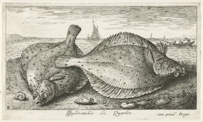 Dwie gładzice na plaży? Kwadratus. LeQuarlet. (tytuł na obiekcie) Ryby i inne morskie stworzenia - trzecia seria słonowodnych (tytuł serii) Poissons de mer (tytuł serii)