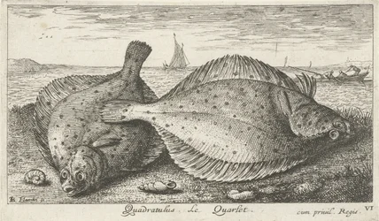 Dwie gładzice na plaży? Kwadratus. LeQuarlet. (tytuł na obiekcie) Ryby i inne morskie stworzenia - trzecia seria słonowodnych (tytuł serii) Poissons de mer (tytuł serii)