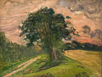 Wieczorny krajobraz. Tisvilde