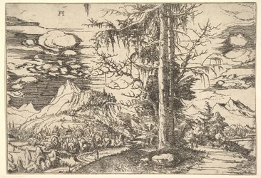 Pejzaż z Podwójnym Świerkiem, ca. 1521-22.