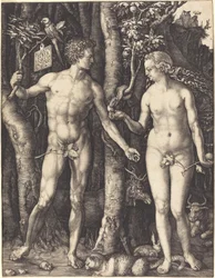 Adam i Ewa