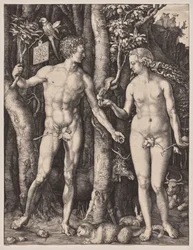Adam i Ewa