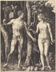 Adam i Ewa