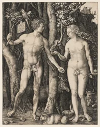 Adam i Ewa