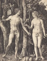 Adam i Ewa, 1504.