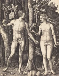 Adam i Ewa, 1504.