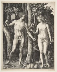 Adam i Ewa, 1504