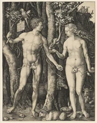 Adam i Ewa, 1504
