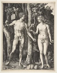 Adam i Ewa, 1504.