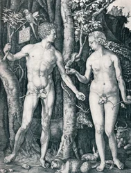 Adam i Ewa, 1504 1906