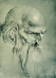Głowa Apostoła