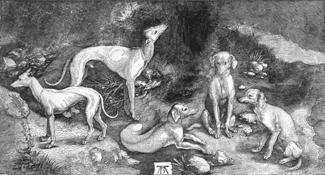 Grupa psów. Z ryciny św. Eustachy, A. Durer, c1500, 1906