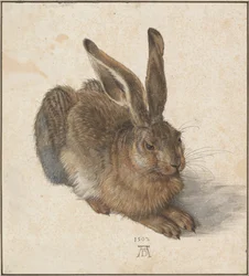 Hase’a, 1502