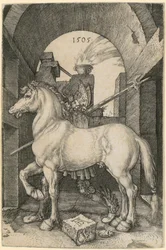 Mały koń
