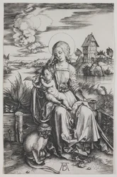 Madonna z małpą