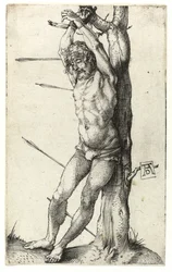 Św. Sebastian przywiązany do drzewa, ok.1501