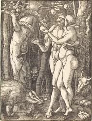 Upadek człowieka
