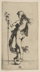 Mała fortuna, 1495-96.