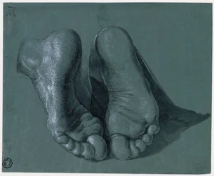 Etude de pieds - Study of Two Feet - Rysunek Albrechta Durera (1471-1528), akwarela, kolor biały, czarna kreda na papierze, c1508 (17,6x21,6cm) - Museum Boijmans Van Beuningen, Rotterdam
