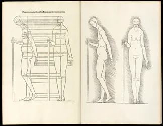 Kobieta z laską, drzeworyt anatomiczny z Herein zawiera cztery księgi o proporcjach ludzkich, 1528